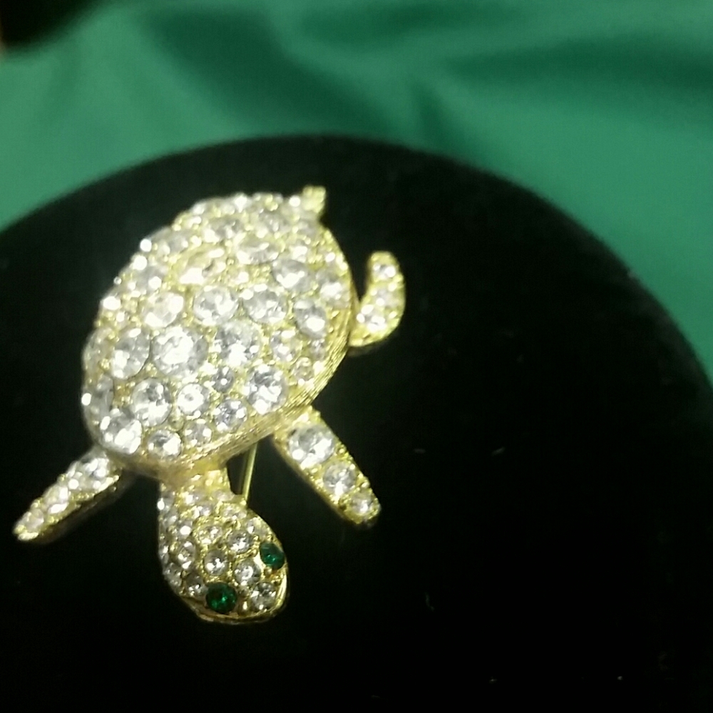 Beautiful turtle brooch